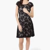 Limite Floral Lace Necklace Cocktail Dress - Black